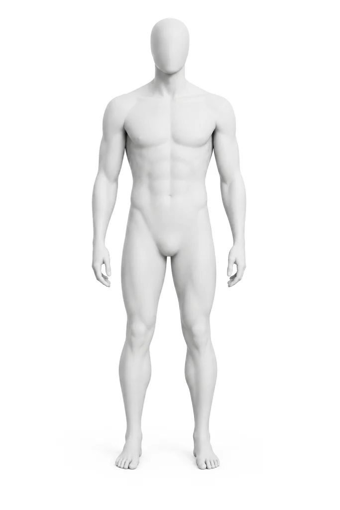 A white mannequin body standing upright, front view